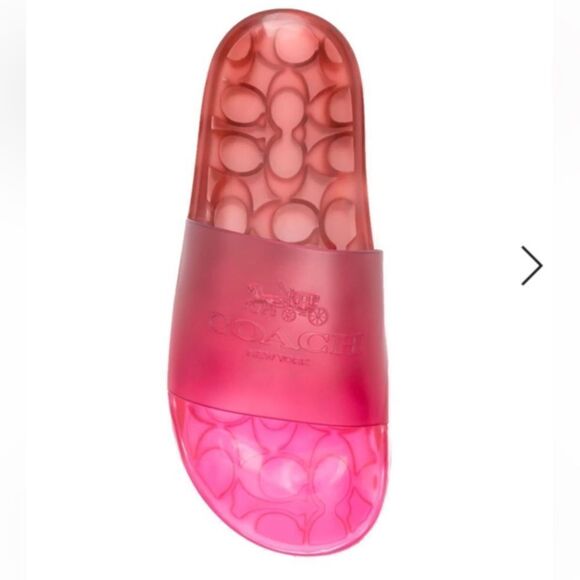 Coach Ulyssa Horse and Carriage Ombré Slides - Picture 1 of 5